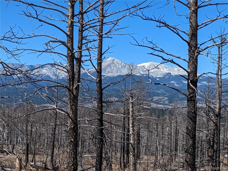 338 Hagin Lane, Fort Garland, CO 81133 - Image #2