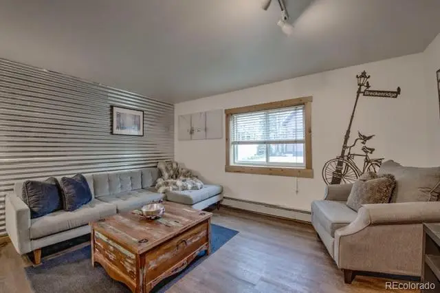 214 S Harris Street #106, Breckenridge, CO 80424 - #3