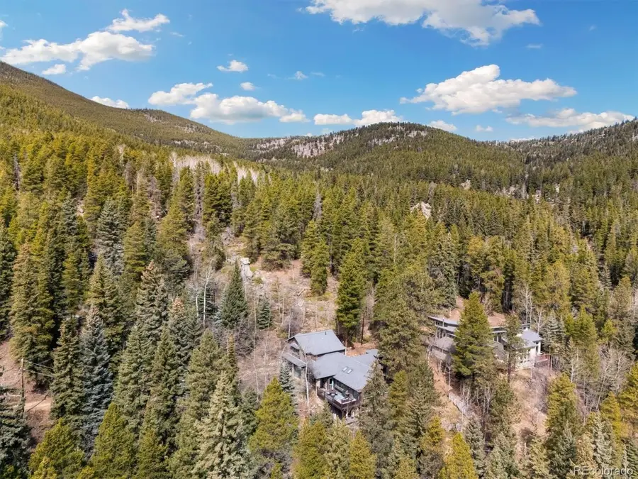 39 Pat Creek Road, Evergreen, CO 80439 - Image #3
