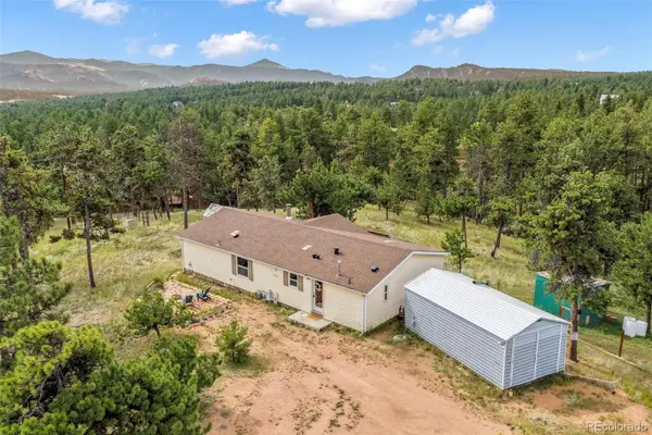 696 Calle De La Nieva, Florissant, CO 80816