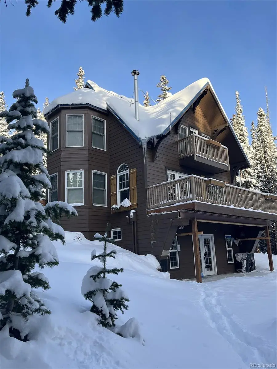 215 Bum Drive, Fairplay, CO 80440 - #2