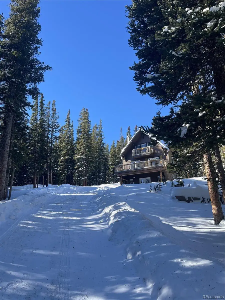 215 Bum Drive, Fairplay, CO 80440 - #3