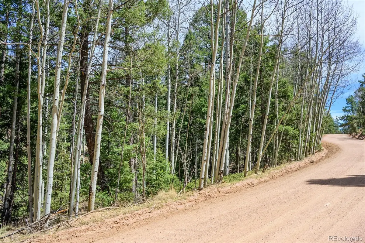 2763 N Mountain Estates Road, Florissant, CO 80816 - #1