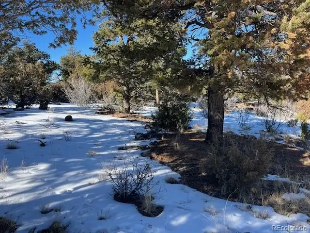 Lot 7898 Tiernan Road, Fort Garland, CO 81133 - Image #3