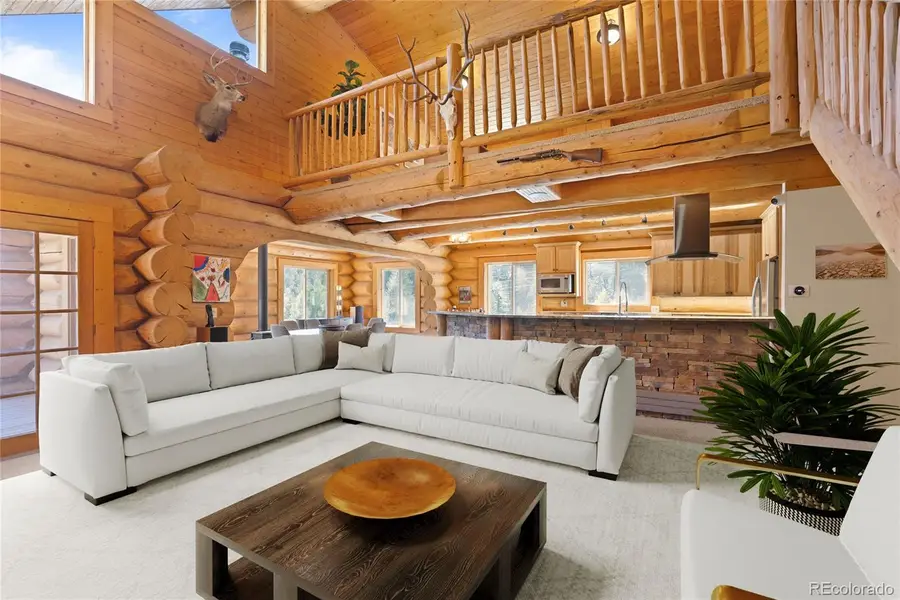 644 Mill Creek Road, Dumont, CO 80436 - Image #3