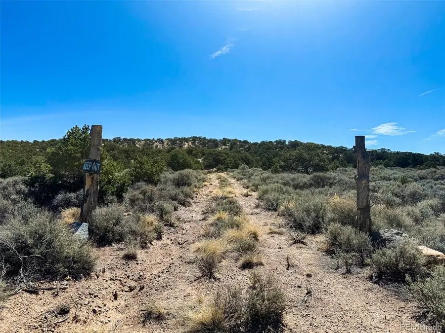 2153 Acapulco Road, Fort Garland, CO 81133 - #2