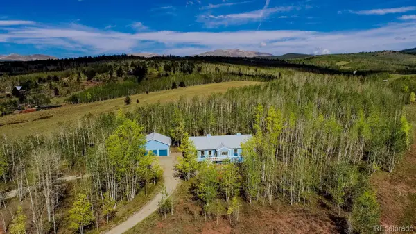 331 Canthook Lane, Fairplay, CO 80440