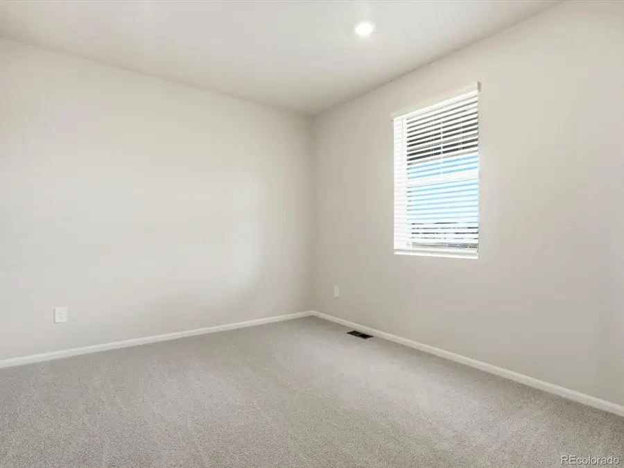 1216 Spring Creek Drive, Windsor, CO 80550 - #3