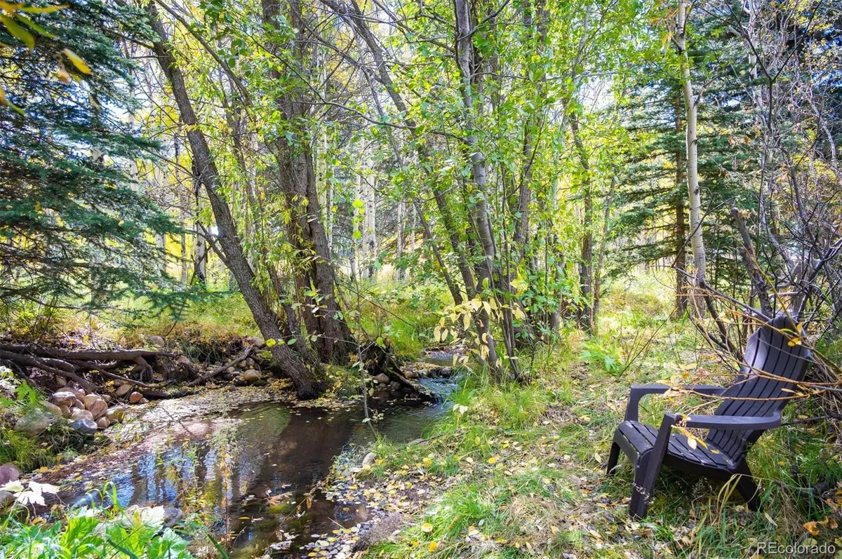 531 Caribou Road, Nederland, CO 80466 - #1