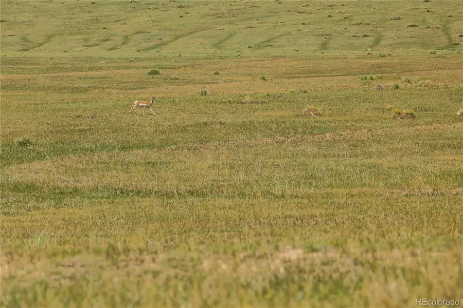 0 Wendling Trail Lot 50, Kiowa, CO 80117 - #3