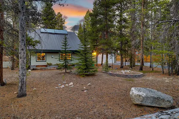 55 Rafferty Drive, Leadville, CO 80461