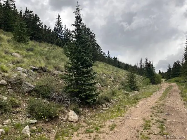 Lot 6644 Phillips Road, San Luis, CO 81152 - #3