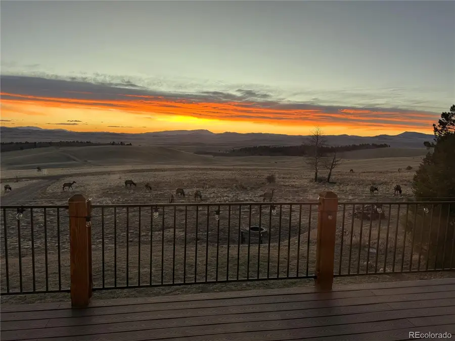 1007 Hereford Drive, Hartsel, CO 80449 - #2