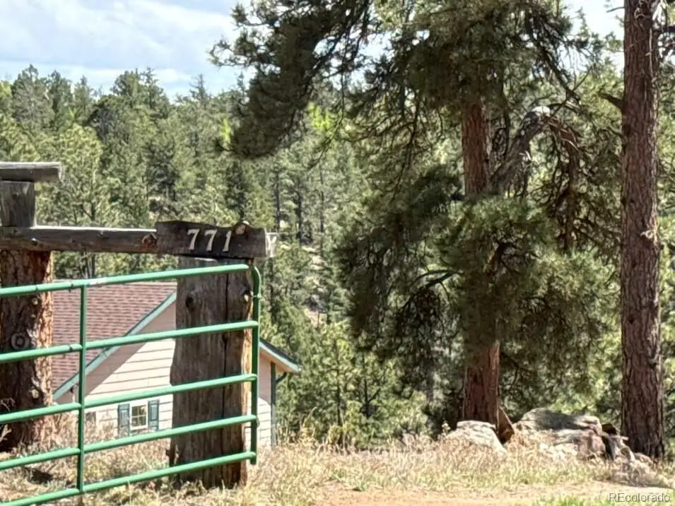 771 Moffat Drive, Cripple Creek, CO 80813 - #1