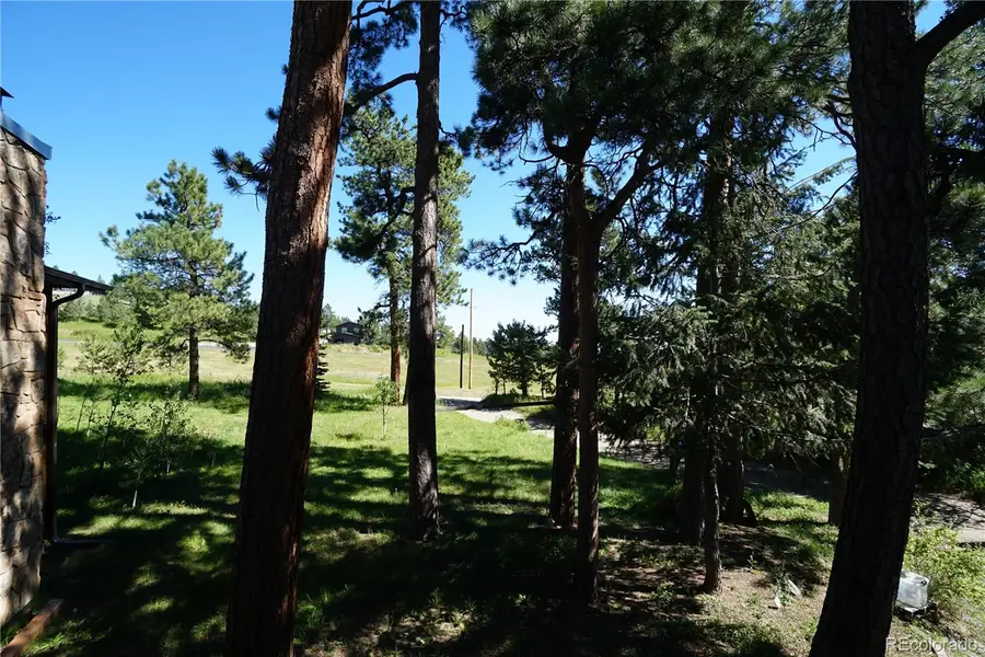 206 Shadow Lane, Golden, CO 80401 - #3