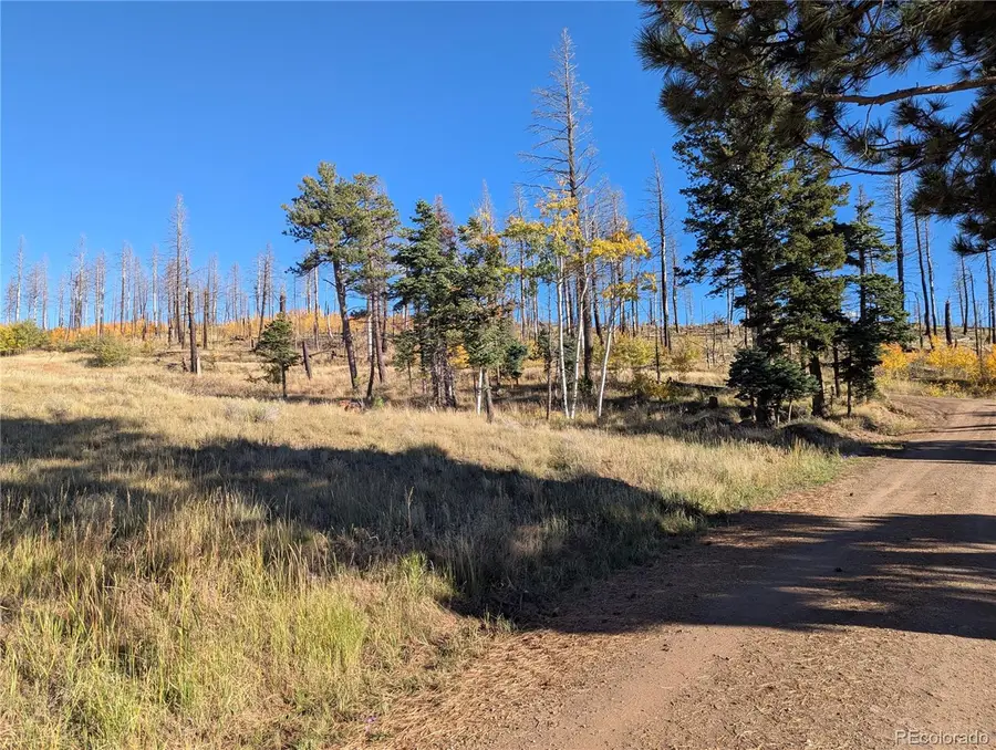 1207 Emery Loop, Fort Garland, CO 81133 - Image #2