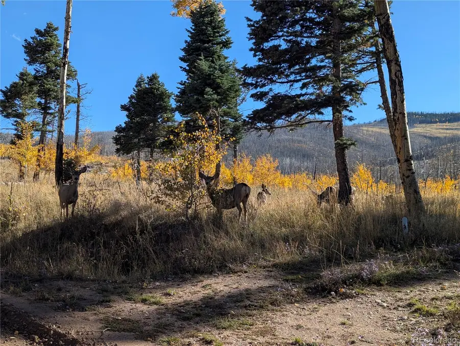 1207 Emery Loop, Fort Garland, CO 81133 - Image #3