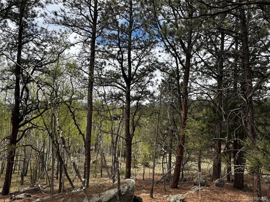 210 Crescent Drive, Florissant, CO 80816 - #2