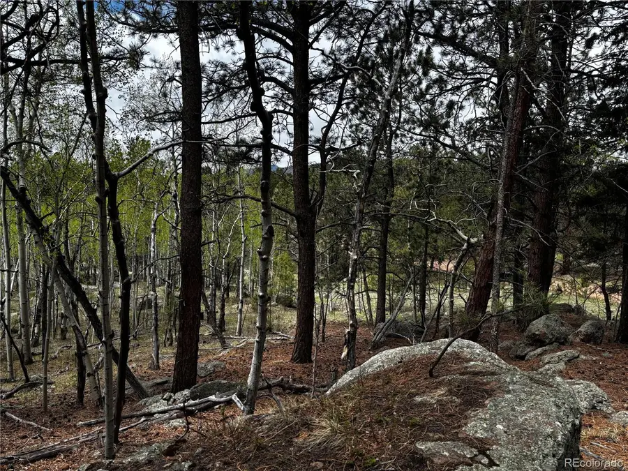 210 Crescent Drive, Florissant, CO 80816 - #3