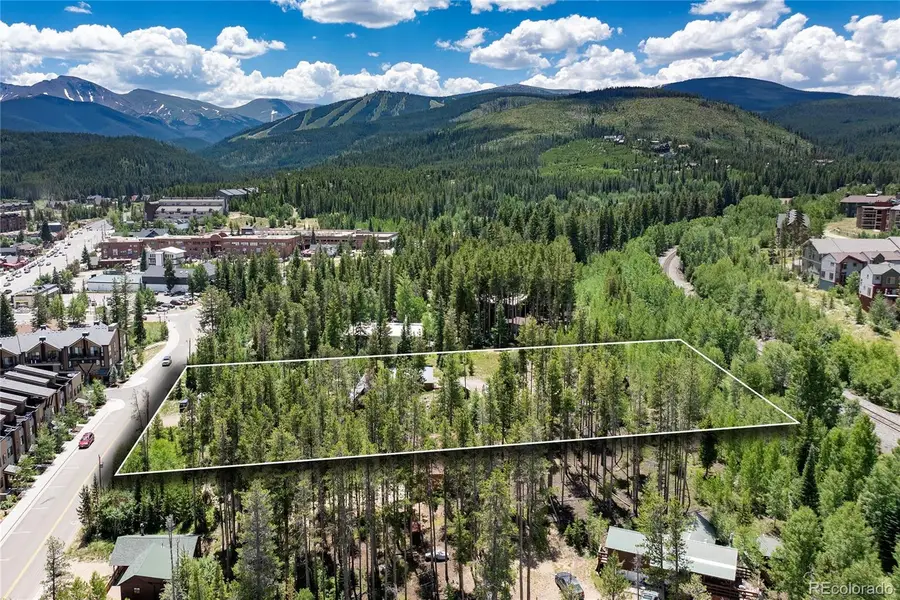 247 Lions Gate Drive, Winter Park, CO 80482 - #3