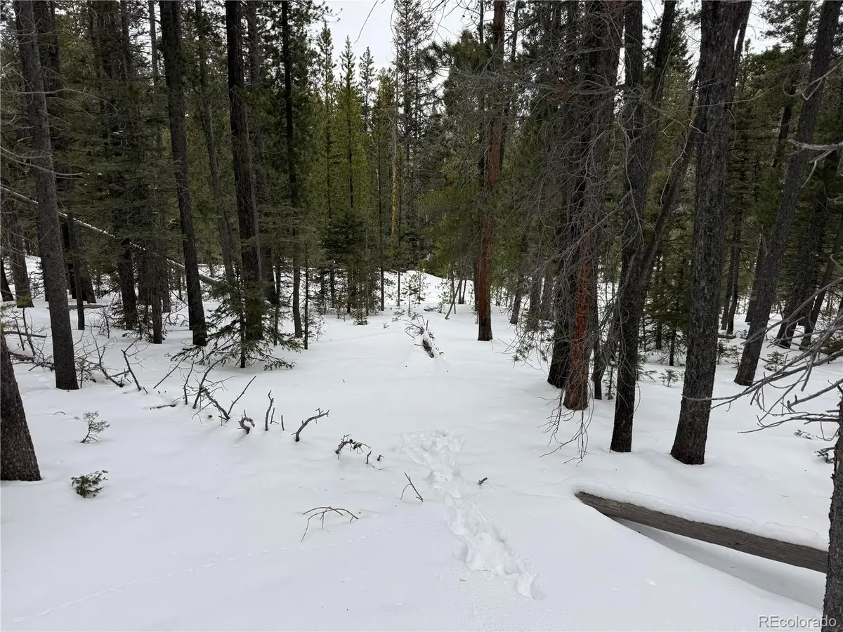 Lot 2806 Moir Drive, Fort Garland, CO 81133 - #1