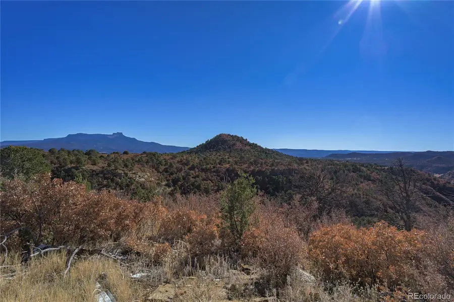 14633 Rancho Verde Road, Trinidad, CO 81082 - Image #3