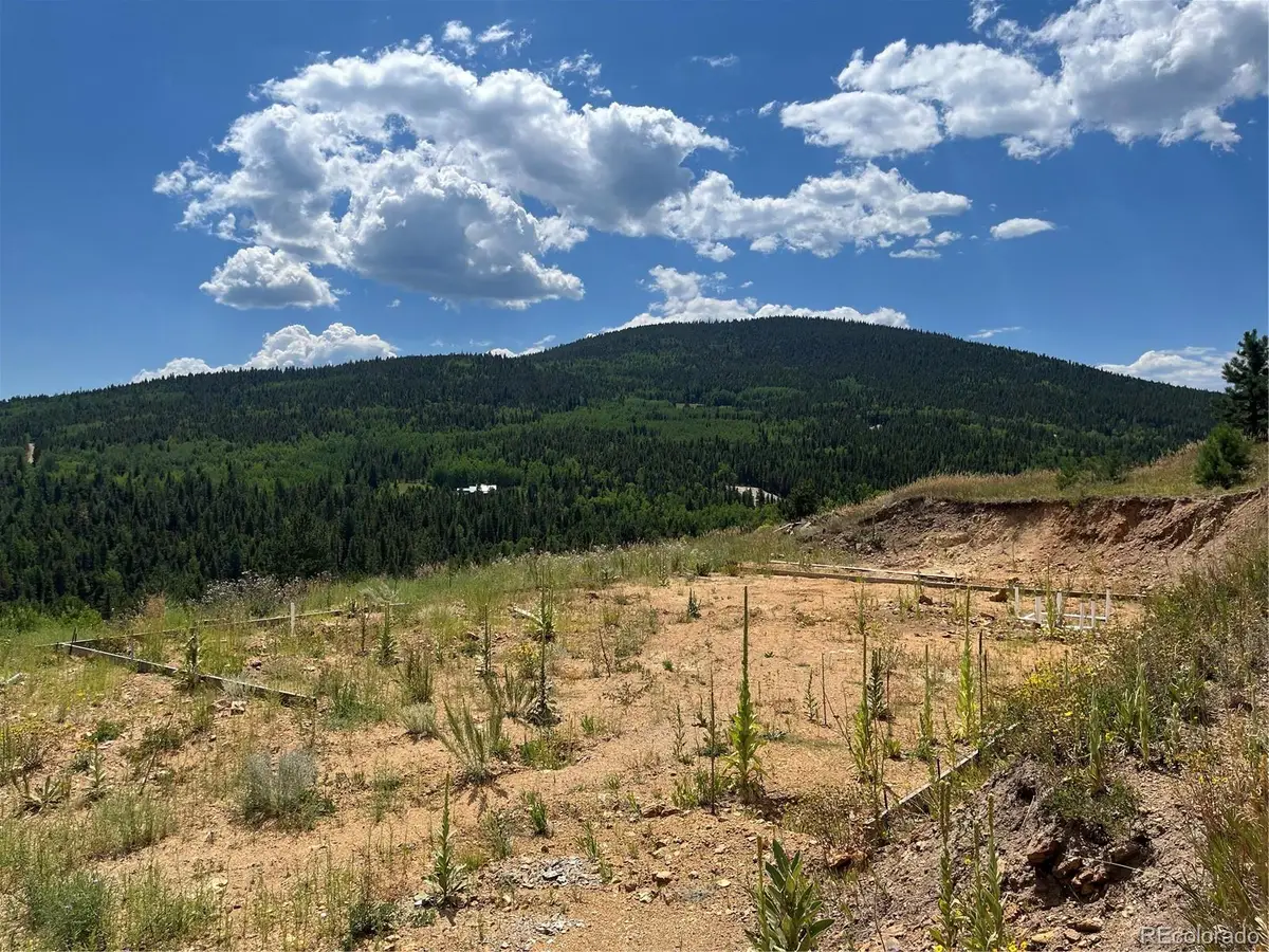 795 Russell Gulch Road, Central City, CO 80427 - Image #1