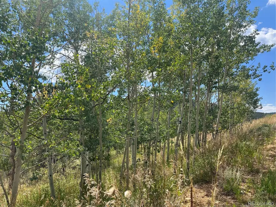 795 Russell Gulch Road, Central City, CO 80427 - Image #3