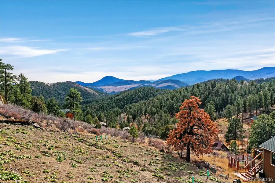 209 Fawn Road, Bailey, CO 80421 - Image #2