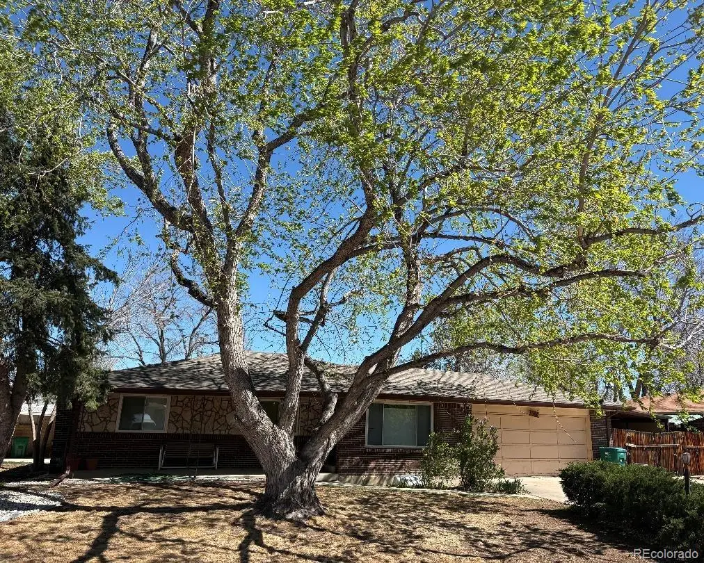 12491 W 7th Place, Lakewood, CO 80401 - #1