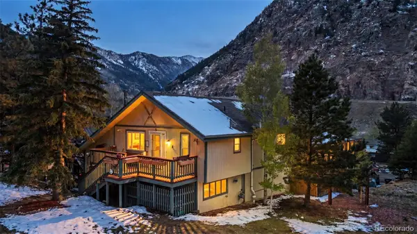 1105 Main Street, Georgetown, CO 80444