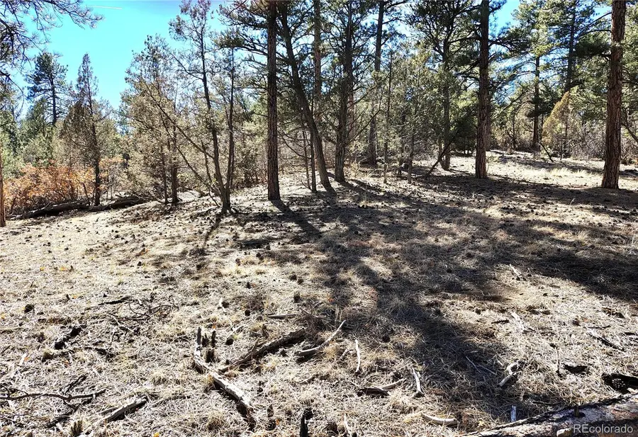 265 Alden Lane, Cotopaxi, CO 81223 - #3