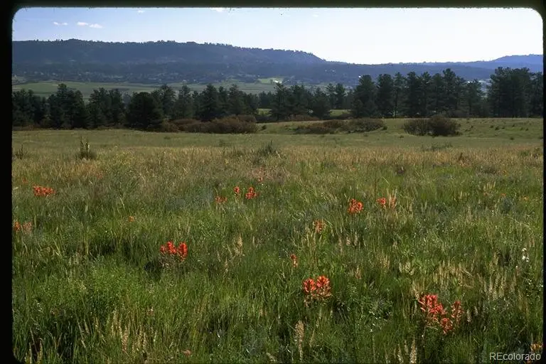 2511 Keep Drive, Sedalia, CO 80135 - #2