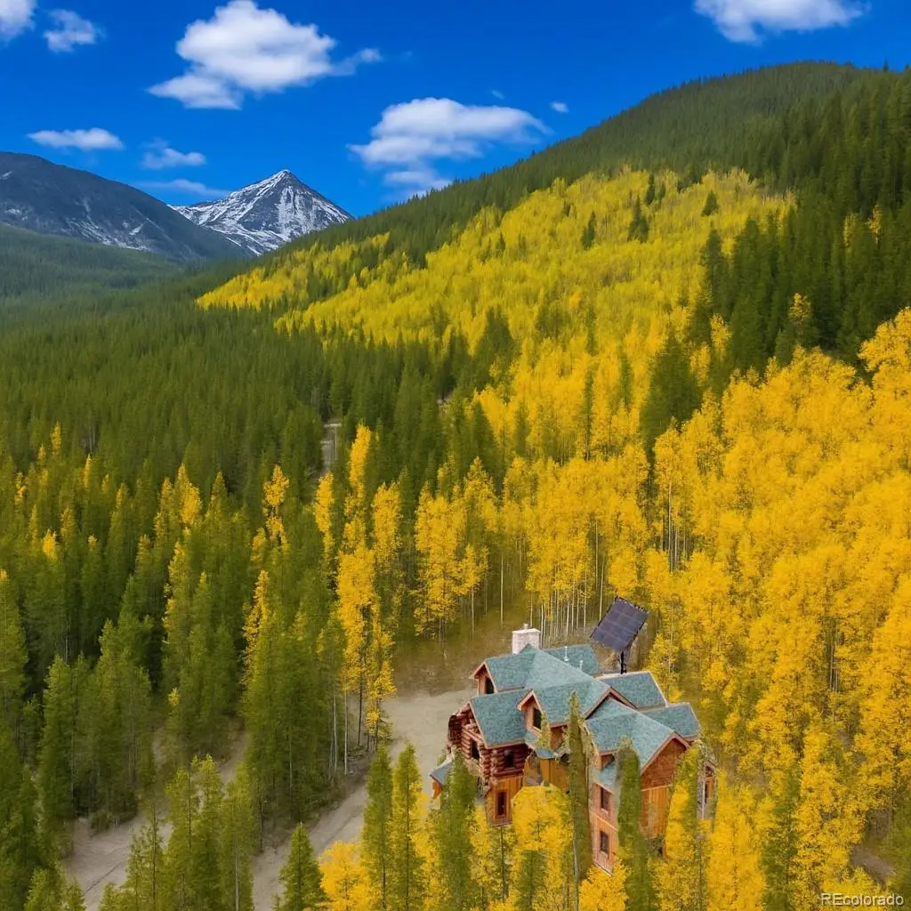 733 Rainbow Road, Idaho Springs, CO 80452 - Image #1