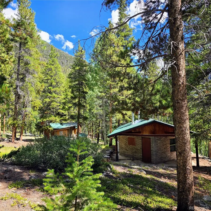 16101 Rob Roy Ms Mc, Nathrop, CO 81236 - #3