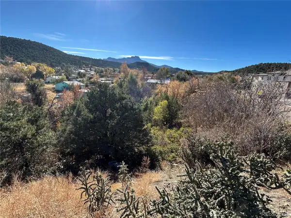 S Denver Avenue, Trinidad, CO 81082