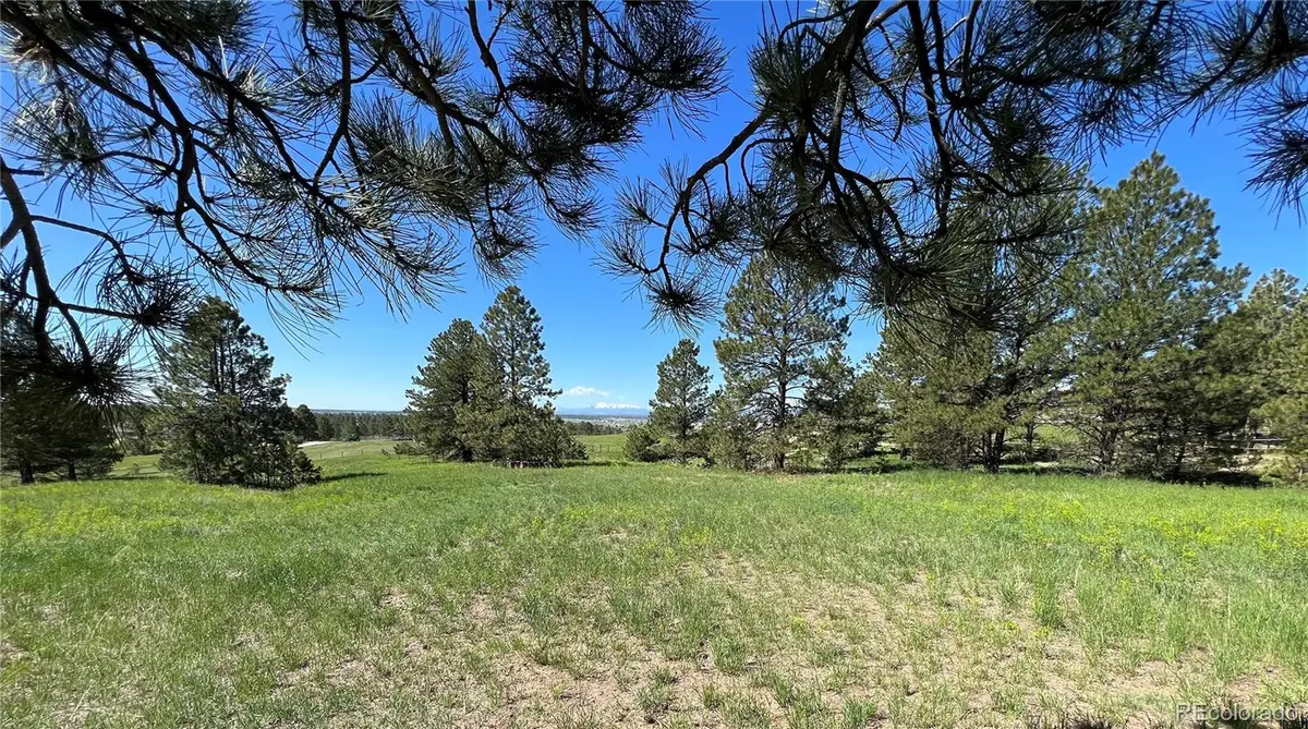 10290 Democrat Road, Parker, CO 80134 - #1