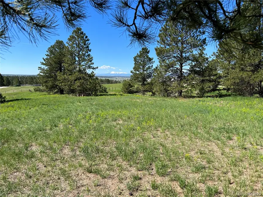 10290 Democrat Road, Parker, CO 80134 - #2