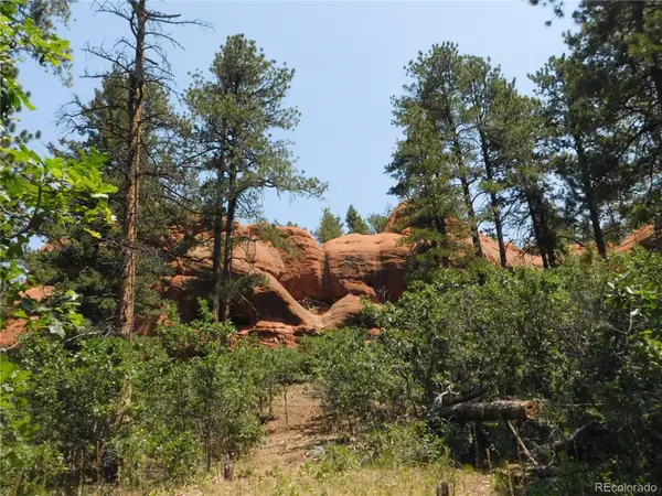 8202 Bannock Drive, Larkspur, CO 80118