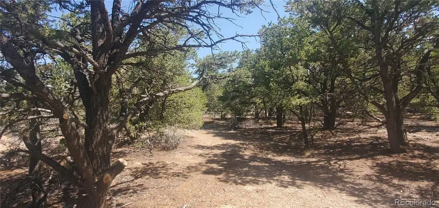 Lot 1412 Michaels Road, Fort Garland, CO 81133 - #3