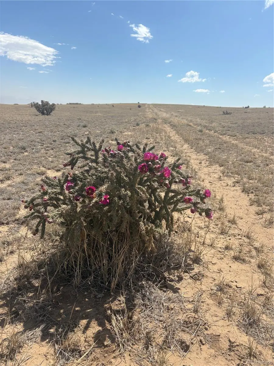 Lot 10 Cuerno Verde Ranches, Walsenburg, CO 81089 - #1