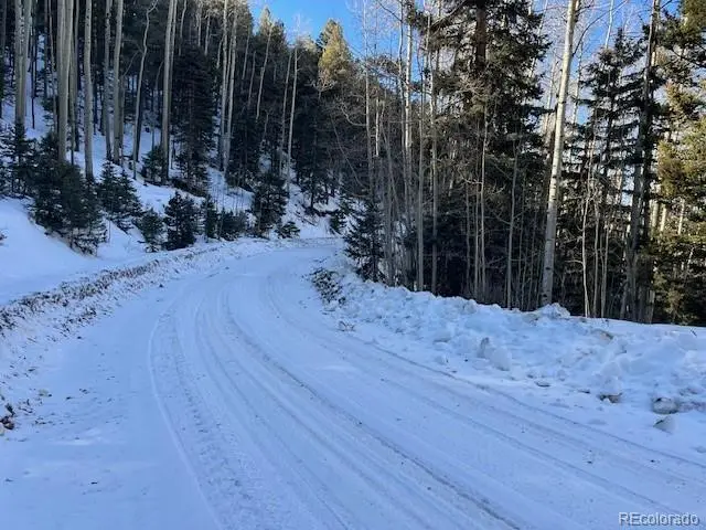 Lot 5339 Howard Road, Fort Garland, CO 81133 - Image #2