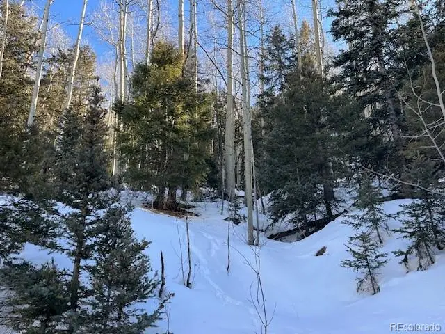 Lot 5339 Howard Road, Fort Garland, CO 81133 - Image #3