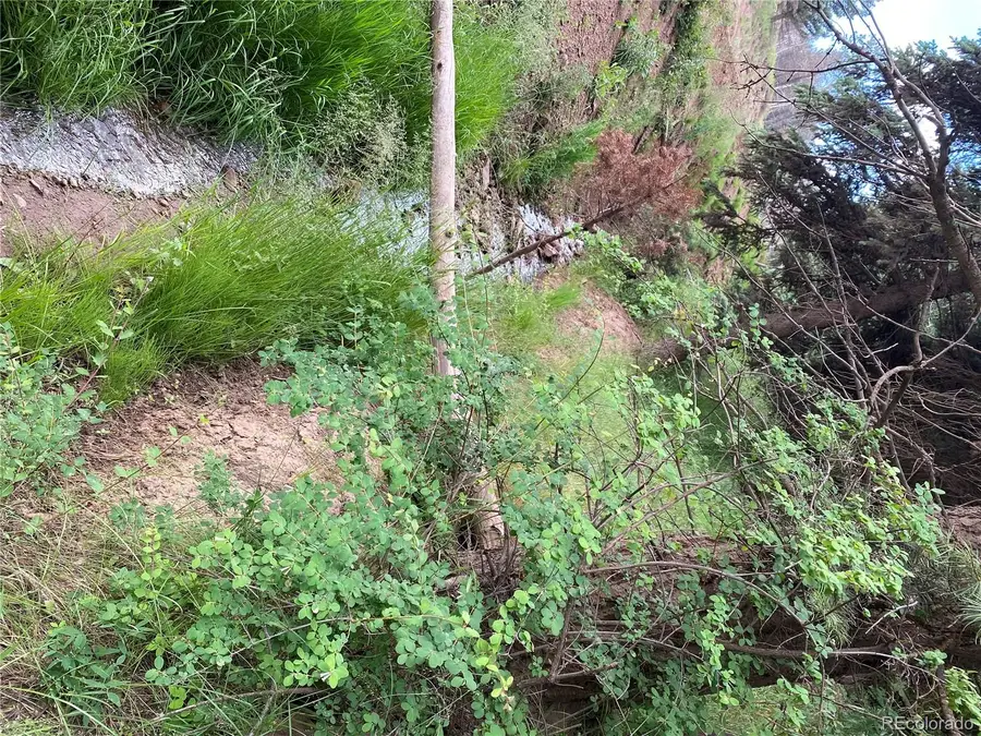 LOT 218 Wergeles Place, Fort Garland, CO 81133 - #3