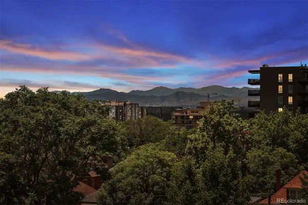 1050 N Lafayette Street #108, Denver, CO 80218