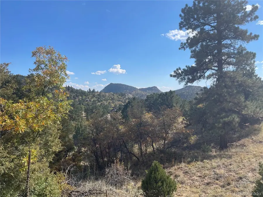 1810 Bird Point Drive, Cotopaxi, CO 81223 - #2