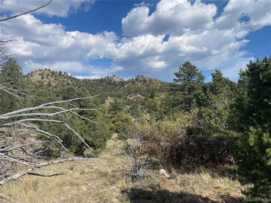 1810 Bird Point Drive, Cotopaxi, CO 81223 - #3