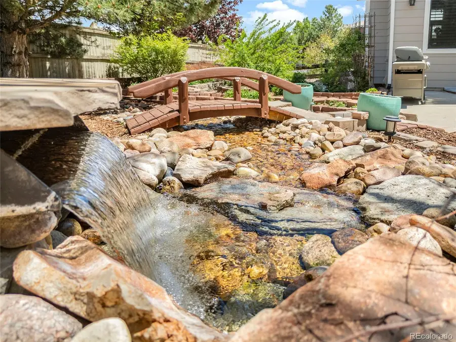 11943 Song Bird Hills Street, Parker, CO 80138 - #2