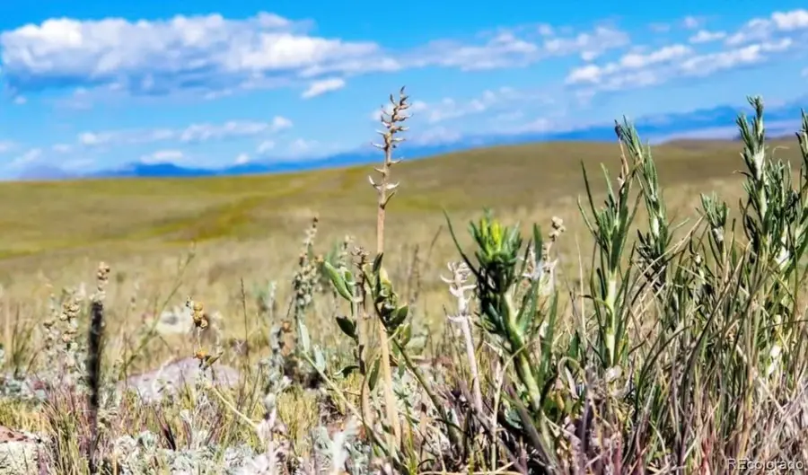 1804 Santee Trail, Guffey, CO 80820 - #3