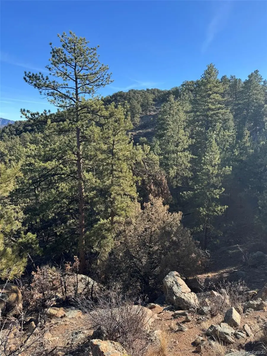 TR-1 G Path, Cotopaxi, CO 81223 - #2